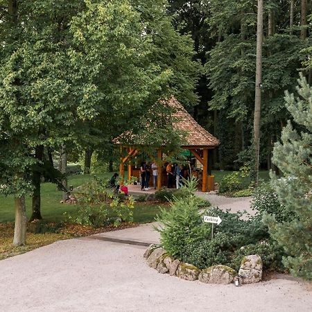 Maison D'Hotes Les Jardins De Madeleine Bernardvillé Εξωτερικό φωτογραφία