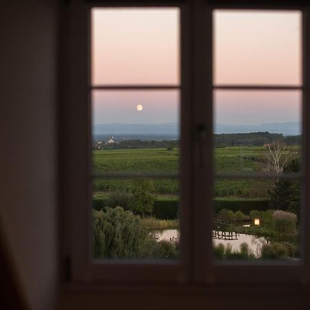 Maison D'Hotes Les Jardins De Madeleine Bernardvillé Εξωτερικό φωτογραφία