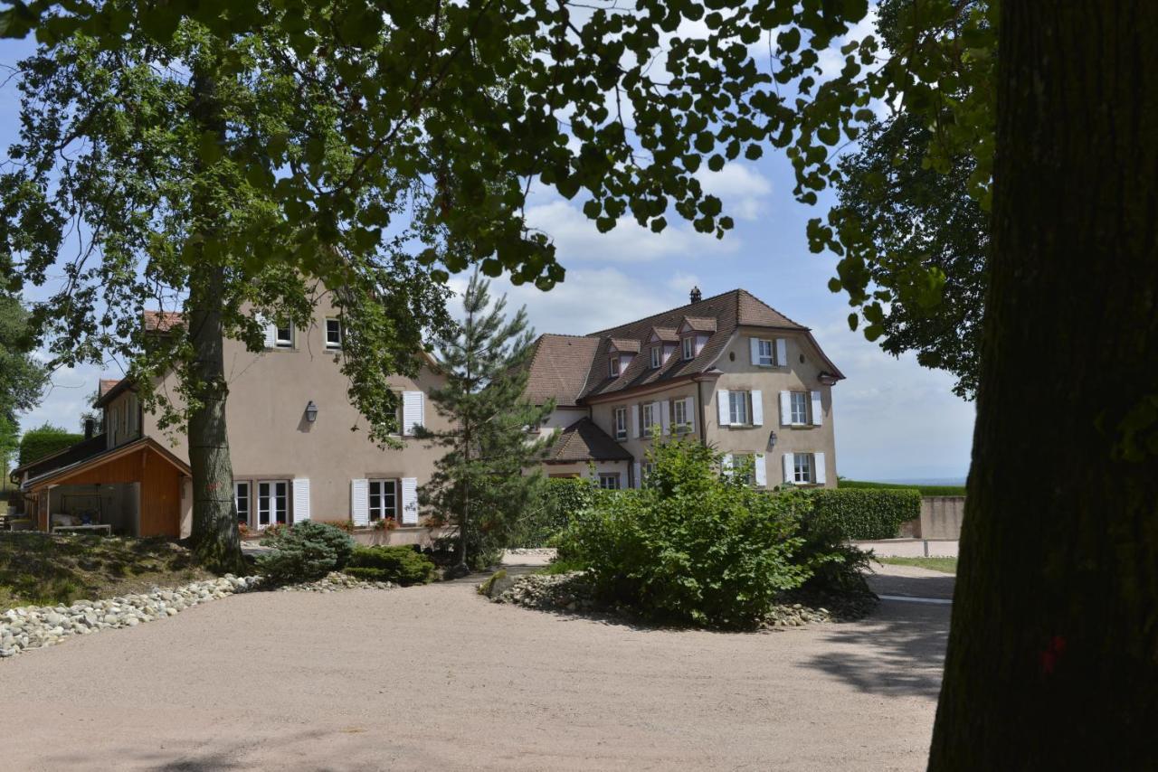 Maison D'Hotes Les Jardins De Madeleine Bernardvillé Εξωτερικό φωτογραφία