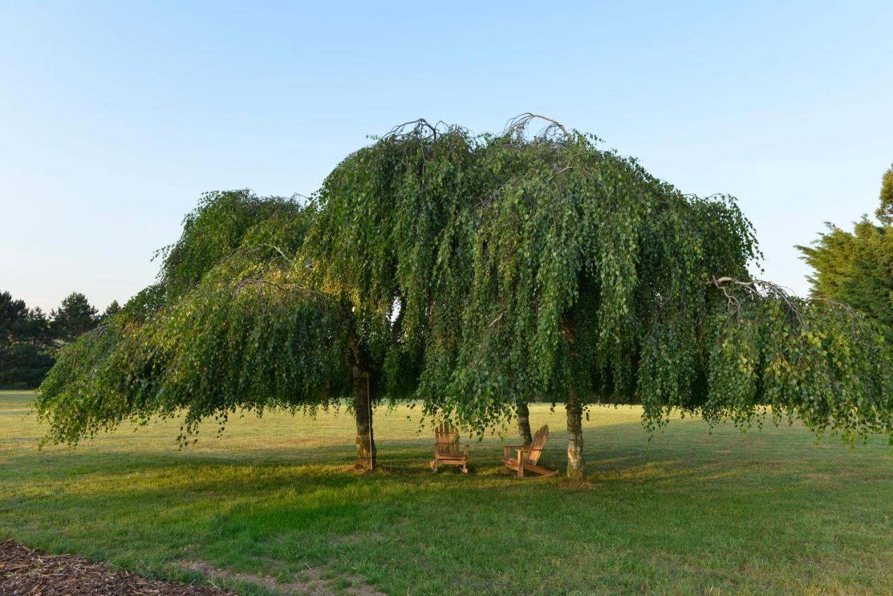 Maison D'Hotes Les Jardins De Madeleine Bernardvillé Εξωτερικό φωτογραφία