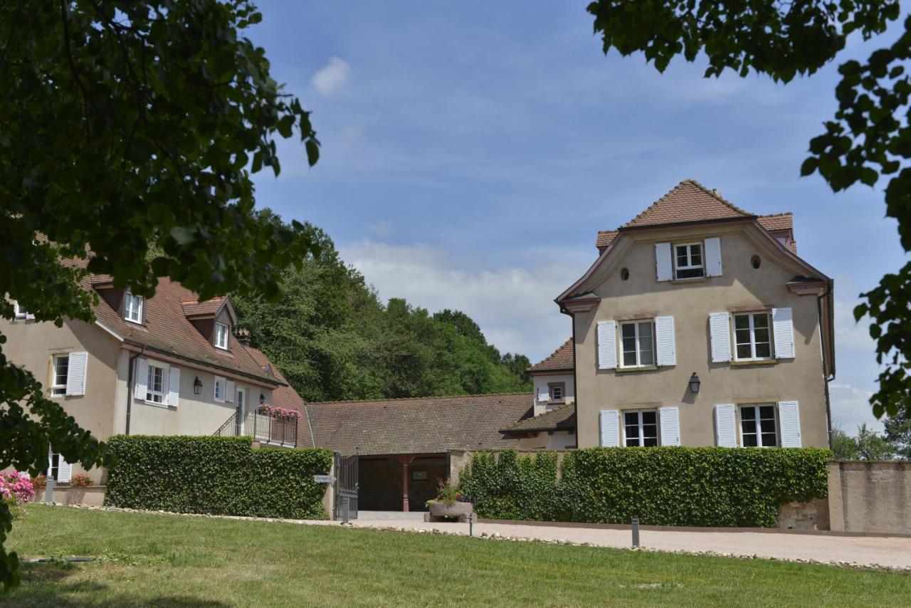 Maison D'Hotes Les Jardins De Madeleine Bernardvillé Εξωτερικό φωτογραφία