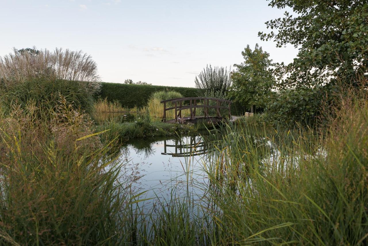 Maison D'Hotes Les Jardins De Madeleine Bernardvillé Εξωτερικό φωτογραφία