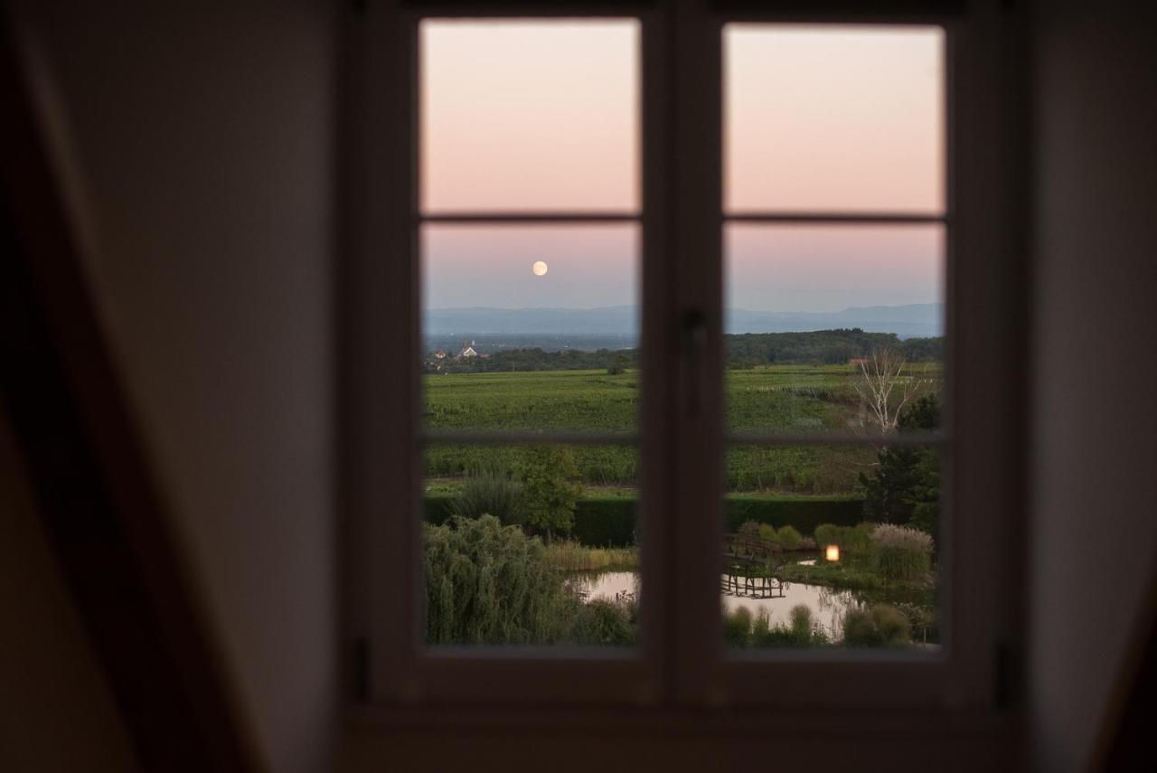 Maison D'Hotes Les Jardins De Madeleine Bernardvillé Εξωτερικό φωτογραφία
